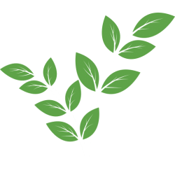 fi_3090490 fi_3090490